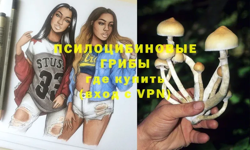 где продают наркотики  Ковылкино  Псилоцибиновые грибы Magic Shrooms 