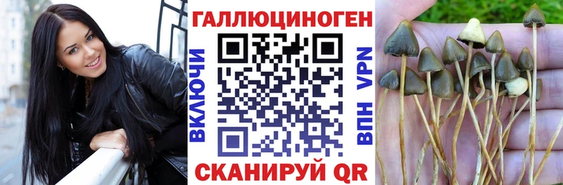 Галлюциногенные грибы ЛСД  наркотики  Ковылкино 